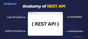 REST API vs. RESTful API : Know The Difference - CodingCops